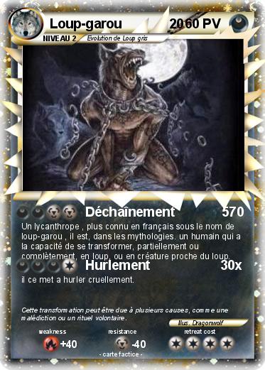 Pokemon Loup-garou             20