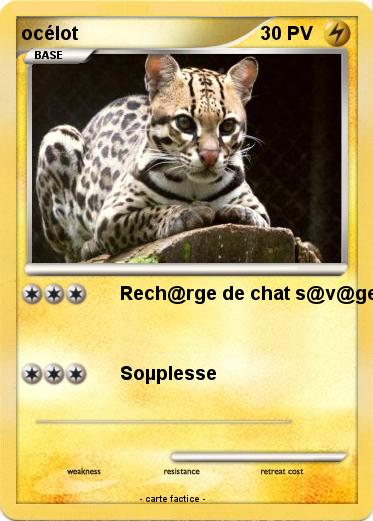 Pokemon océlot