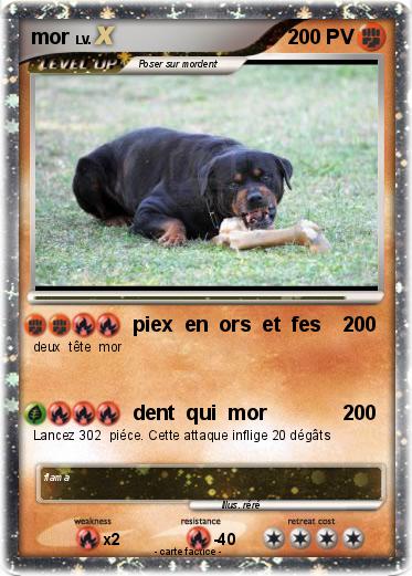 Pokemon mor