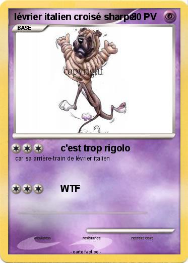 Pokemon lévrier italien croisé sharpei