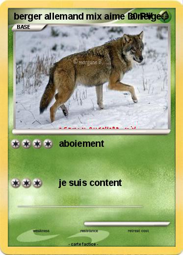 Pokemon berger allemand mix aime la neige