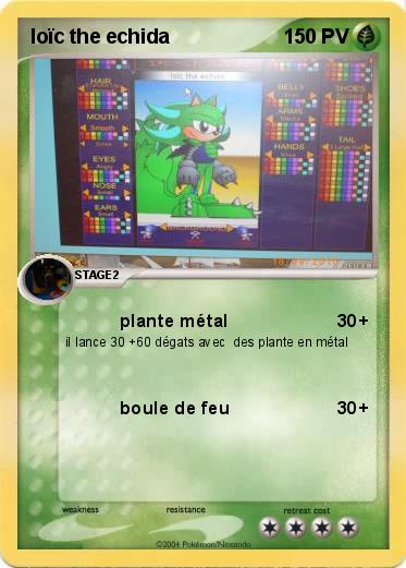 Pokemon loïc the echida