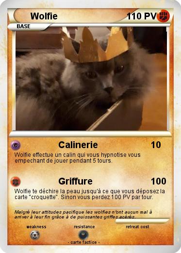 Pokemon Wolfie
