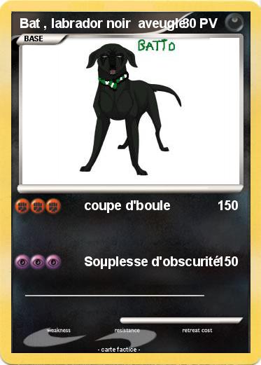 Pokemon Bat , labrador noir  aveugle