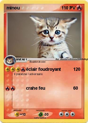 Pokemon minou