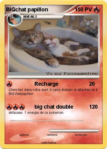 Pokemon BIGchat papillon