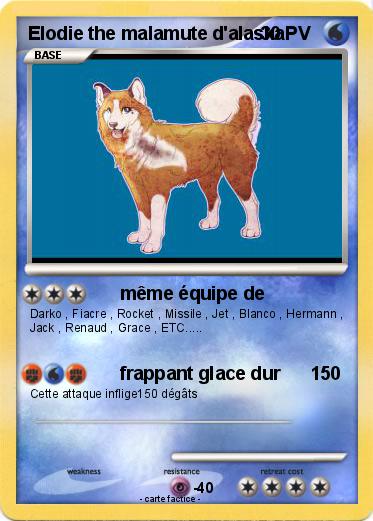 Pokemon Elodie the malamute d'alaska
