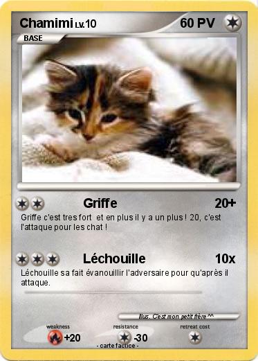 Pokemon Chamimi