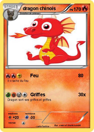 Pokemon dragon chinois