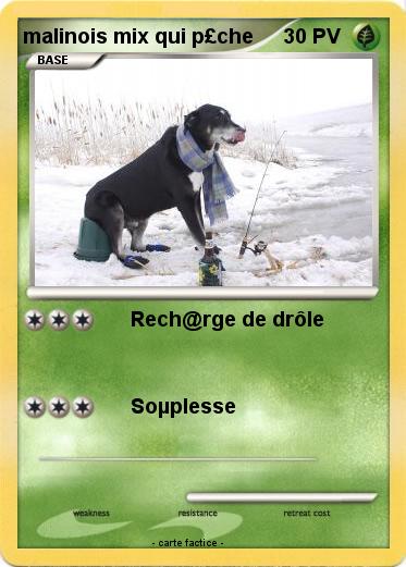 Pokemon malinois mix qui p£che