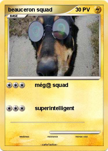 Pokemon beauceron squad