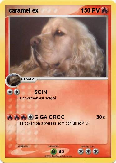 Pokemon caramel ex 