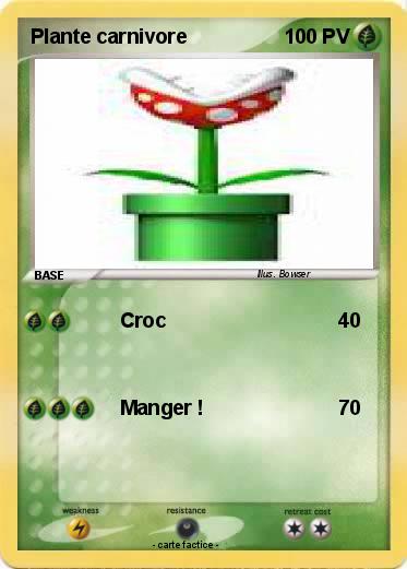 Pokemon Plante carnivore