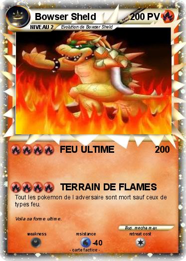Pokemon Bowser Sheld