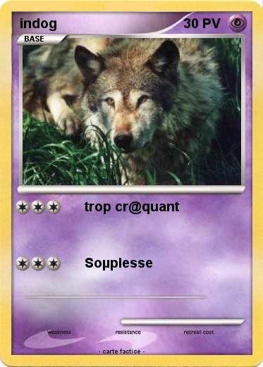 Pokemon indog