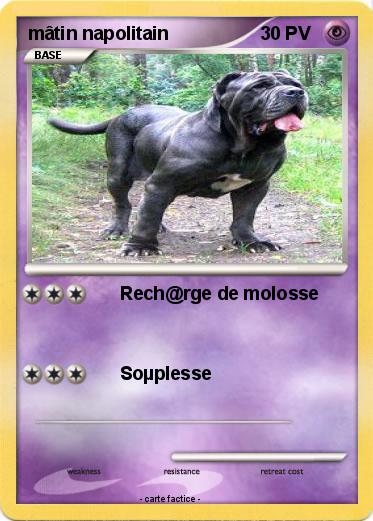 Pokemon mâtin napolitain