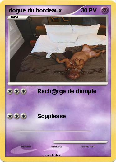 Pokemon dogue du bordeaux