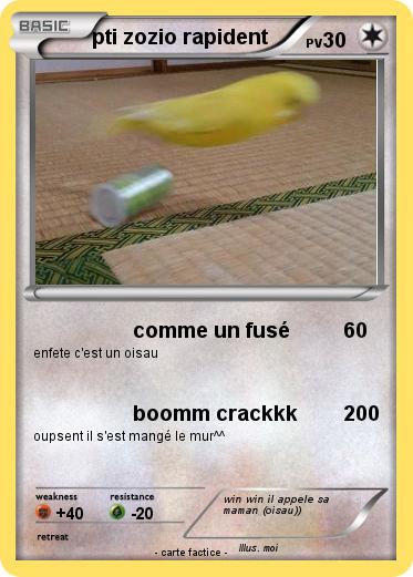 Pokemon pti zozio rapident