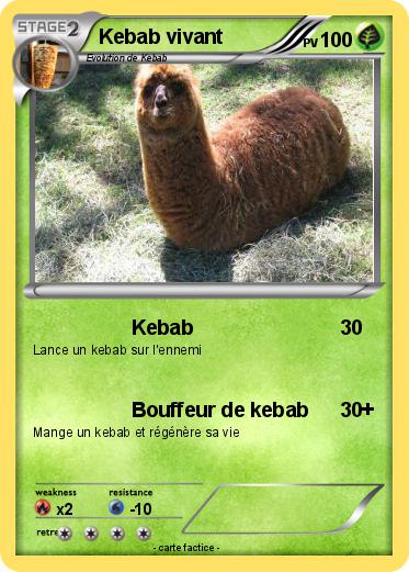 Pokemon Kebab vivant