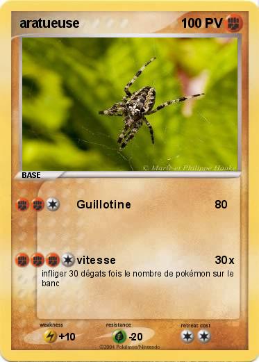 Pokemon aratueuse