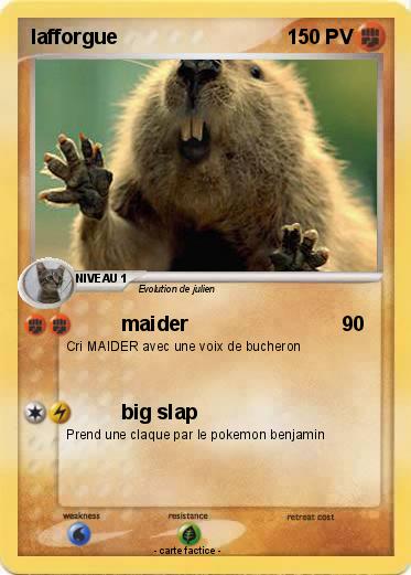 Pokemon lafforgue
