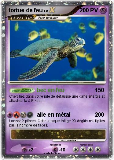 Pokemon tortue de feu