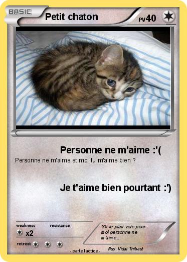 Pokemon Petit chaton