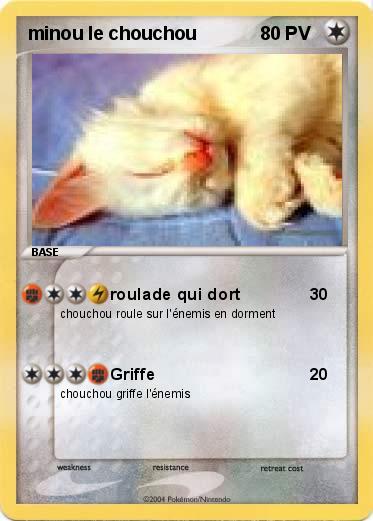Pokemon minou le chouchou