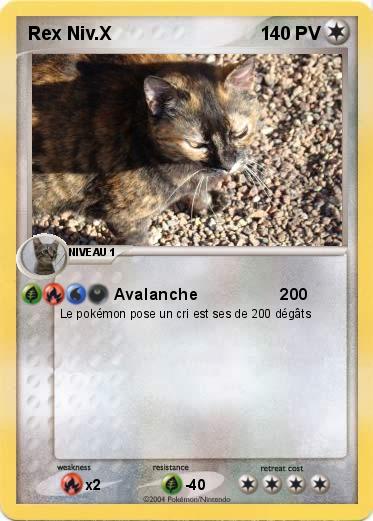 Pokemon Rex Niv.X                                                 