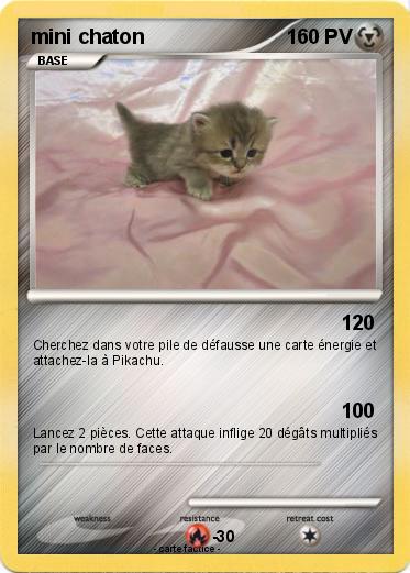 Pokemon mini chaton