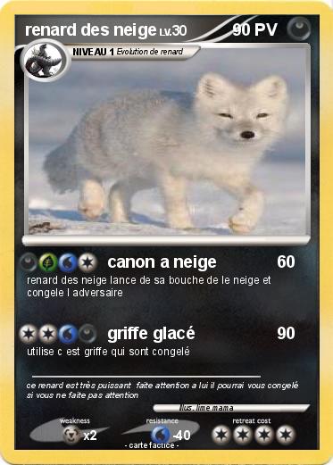 Pokemon renard des neige