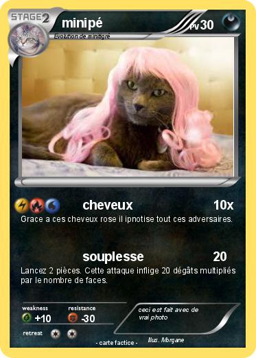 Pokemon minipé