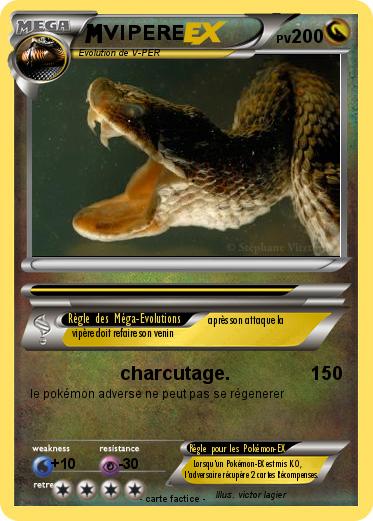 Pokemon VIPERE
