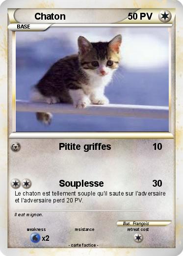 Pokemon Chaton