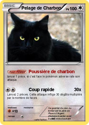 Pokemon Pelage de Charbon