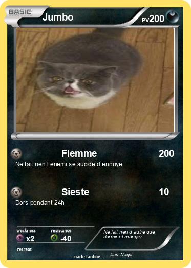 Pokemon Jumbo