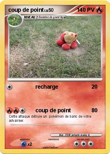 Pokemon coup de point