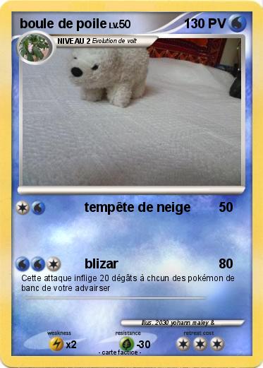 Pokemon boule de poile
