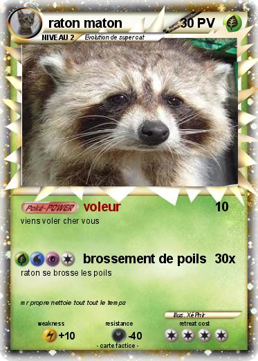 Pokemon raton maton