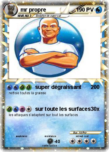 Pokemon mr propre