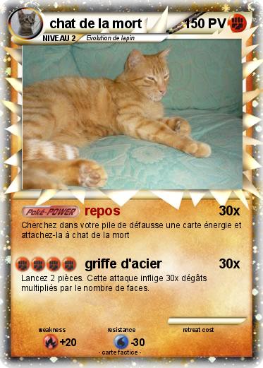 Pokemon chat de la mort