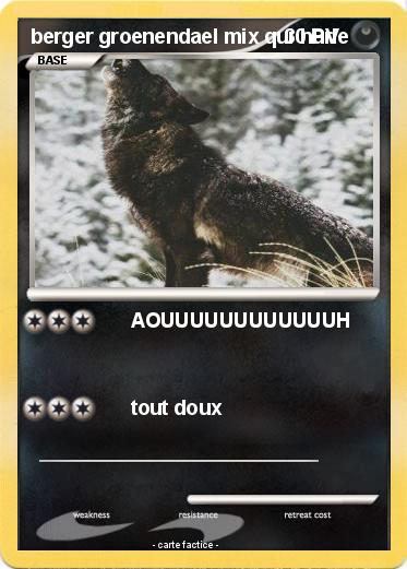 Pokemon berger groenendael mix qui hurle