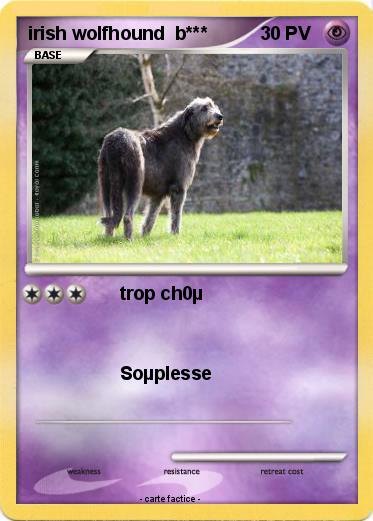 Pokemon irish wolfhound  b***