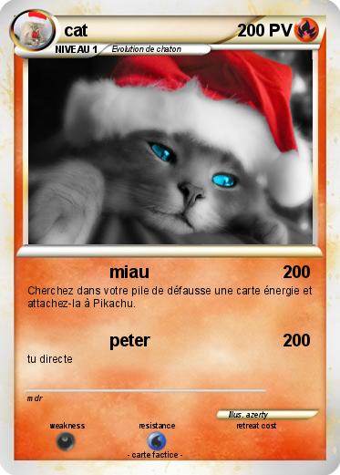 Pokemon cat