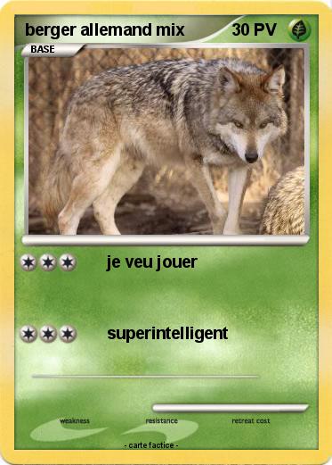 Pokemon berger allemand mix