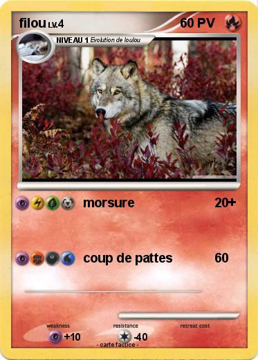 Pokemon filou