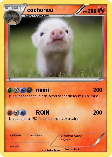 Pokemon cochonou