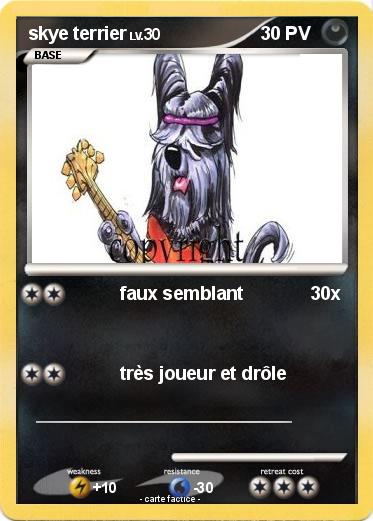 Pokemon skye terrier