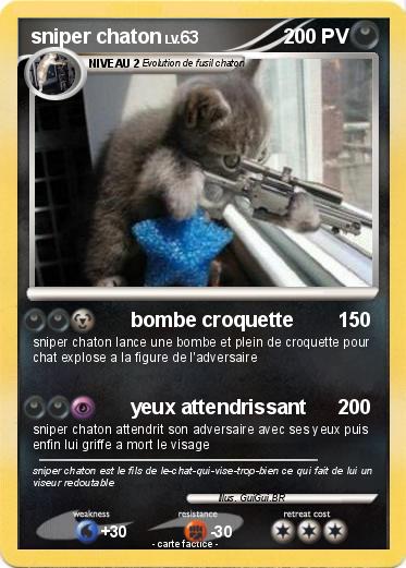 Pokemon sniper chaton