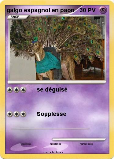 Pokemon galgo espagnol en paon